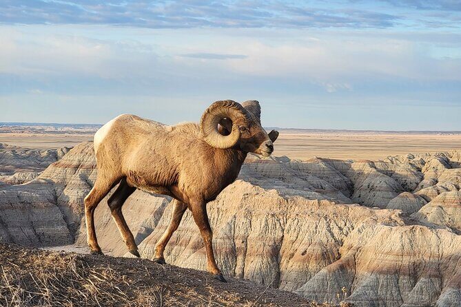 Private - JEEP Badlands Backcountry (Sage Creek/Sheep Mtn/Scenic) - Exploring the Itinerary in Detail