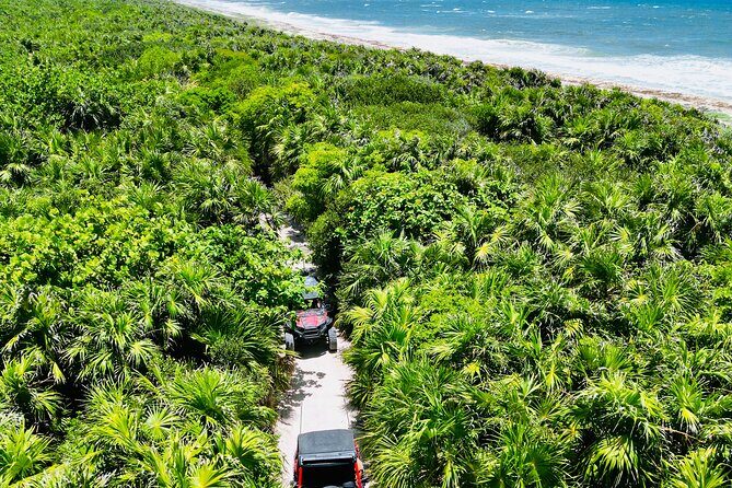 Private Jeep & Polaris RZR: San Gervasio Mayan Ruins & Snorkeling - Detailed Breakdown of the Experience