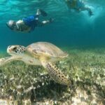 Private Jeep Tour & ATV to Jade Cavern Cenote: All Inclusive - Value and Practical Considerations