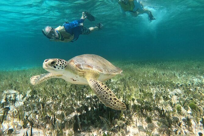 Private Jeep Tour & ATV to Jade Cavern Cenote: All Inclusive - Value and Practical Considerations