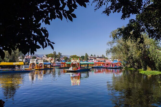 Private kayaks tour in Xochimilco & Cuicuilco pyramid - Practical Details and What You Should Know