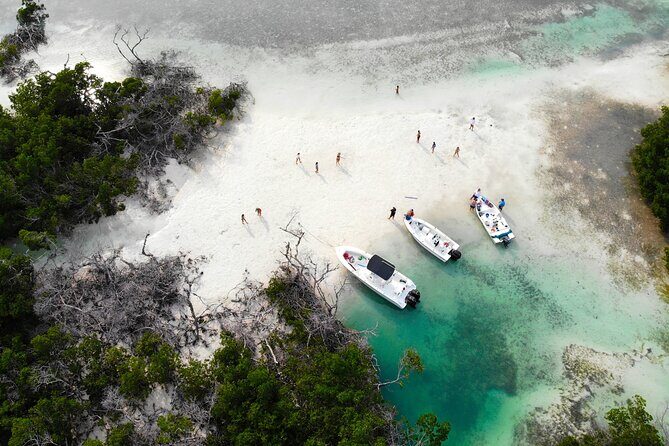 Private Key West Fishing & Sandbar or Snorkel Charter - Practical Details and Tips