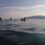 Private Los Arcos snorkeling - What Makes This Snorkeling Tour Stand Out?