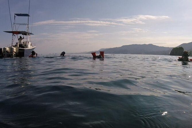 Private Los Arcos snorkeling - What Makes This Snorkeling Tour Stand Out?