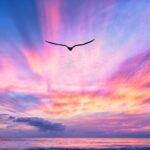 Private Luxury Sunset Cruise in Waikiki - The Itinerary: What to Expect