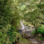 Private Luxury SUV Road to Hana Experience - Transportation and Comfort