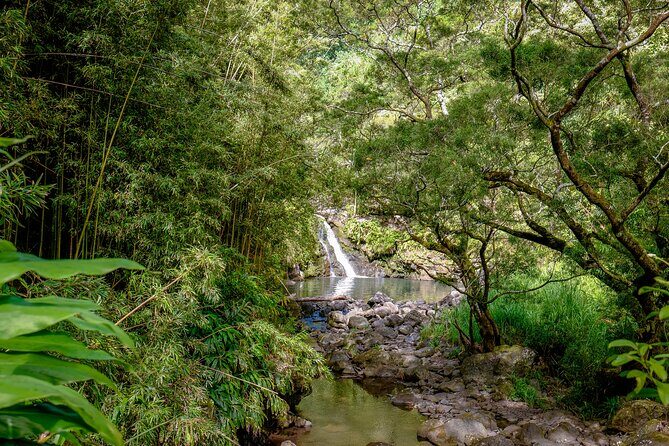 Private Luxury SUV Road to Hana Experience - Transportation and Comfort