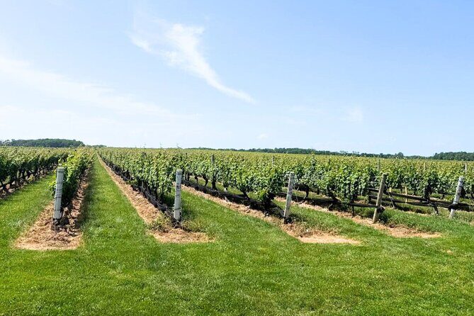 Private Luxury Wine Tours of Long Island Pindar Winery - The Sum Up