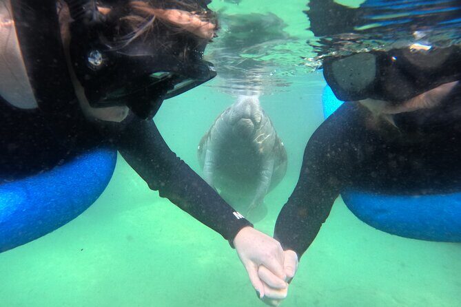 Private Manatee Swim Tour - The Value of Professional Guides and Safety