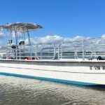 Private Morris Island Dolphin Adventure (to 12 guests) - The Sum Up