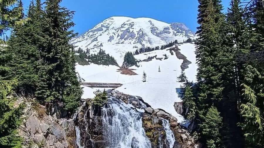 Private Mount Rainier tour from Portland - The Itinerary: What to Expect