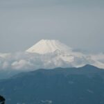 Private Mt Rainier National Park Day Tour Glacier Waterfalls - Transportation, Group Size, and Value