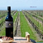 Private Niagara on the Lake Wine Tour with Dinner - Who Will Love This Tour?