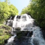 Private North Georgia Waterfall Tour and Scenic Hikes - What Makes This Tour Stand Out?