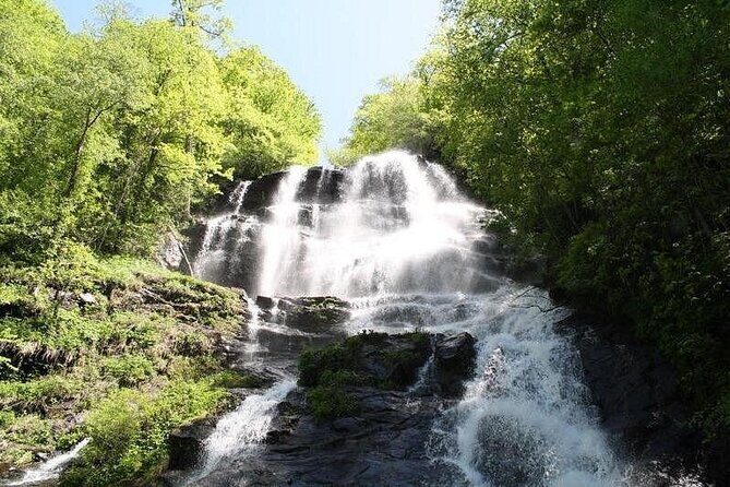 Private North Georgia Waterfall Tour and Scenic Hikes - What Makes This Tour Stand Out?