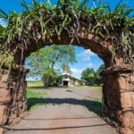 Private North Shore and Polynesian Culture Day Trip in Oahu - What Do Travelers Say?