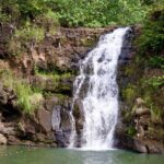 Private North Shore Oahu Tour ft. Waimea Falls-Customizable - Waimea Valley: A Blend of Nature and Culture