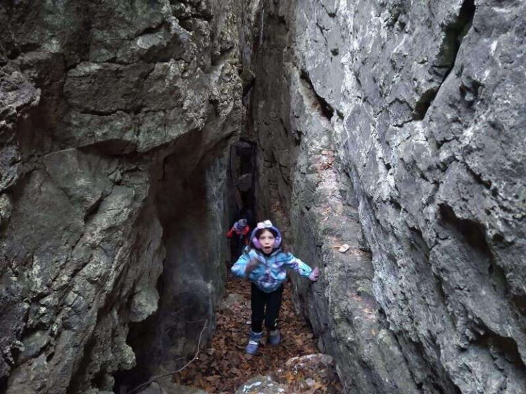 Private Nottawasaga Bluffs Caves Hike - Creemore/Collingwood - Why This Tour Works Well for You