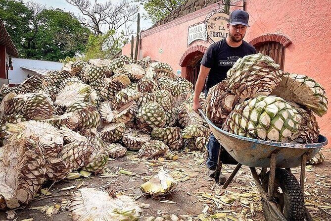 Private One Day Adventure Tour in Tequila and La Fortaleza Distillery - What’s Included & What to Expect