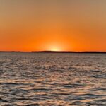 Private ONLY Dolphin Boat Tours - Final Thoughts: Who Will Love This Tour?