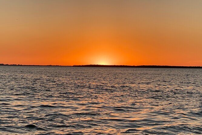 Private ONLY Dolphin Boat Tours - Final Thoughts: Who Will Love This Tour?