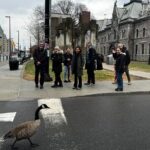 Private Ottawa City Highlights 3 Hour Walking Tour - Whats Included and What To Consider