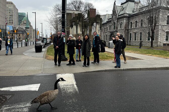 Private Ottawa City Highlights 3 Hour Walking Tour - Whats Included and What To Consider