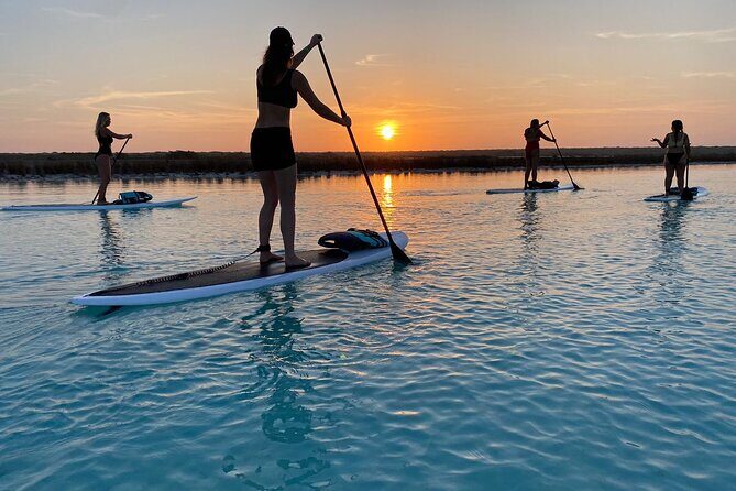 Private Paddleboard Experience in Bacalar - Why this Tour Offers Great Value