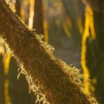 Private Panama City Beach Photo Excursion - The Itinerary Breakdown