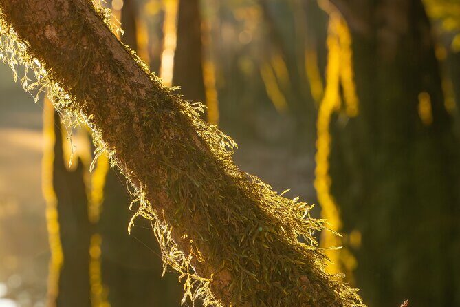 Private Panama City Beach Photo Excursion - The Itinerary Breakdown