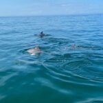 Private Panama City Beach Sunset Tour - The Itinerary: What to Expect