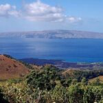 Private Redwood Forest Hiking Tour - The Itinerary in Detail