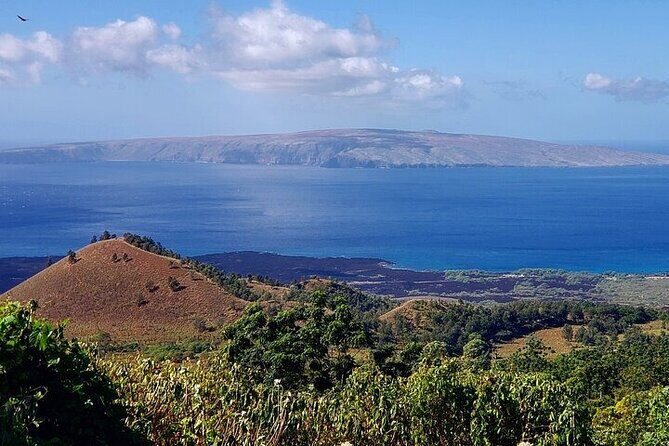 Private Redwood Forest Hiking Tour - The Itinerary in Detail