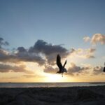 Private Relocation guide Settling Support and Local Orientation - Who Should Consider This Tour?