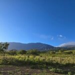 Private Road to Hana Tour with Pickup-Ultimate Package, Backside - Who Will Love This Tour?