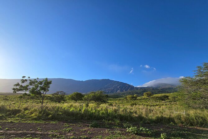 Private Road to Hana Tour with Pickup-Ultimate Package, Backside - Who Will Love This Tour?