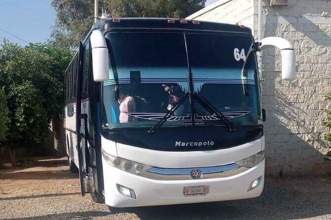 Private Round Transportation from Tijuana to Valle de Guadalupe - The Practical Aspects of the Service