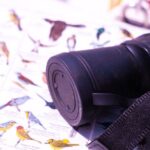 Private Sailing Adventure in Bacalar - Why This Tour Might Be Perfect for You