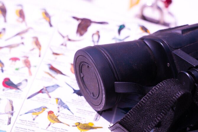 Private Sailing Adventure in Bacalar - Why This Tour Might Be Perfect for You