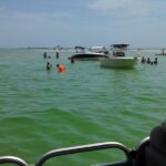 Private Sandbar Party Charter in St. Pete - An In-Depth Look at the Sandbar Charter Experience