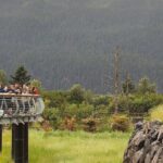 Private Scenic Turnagain Arm Glacier Tour from Anchorage - Who Should Consider This Tour?