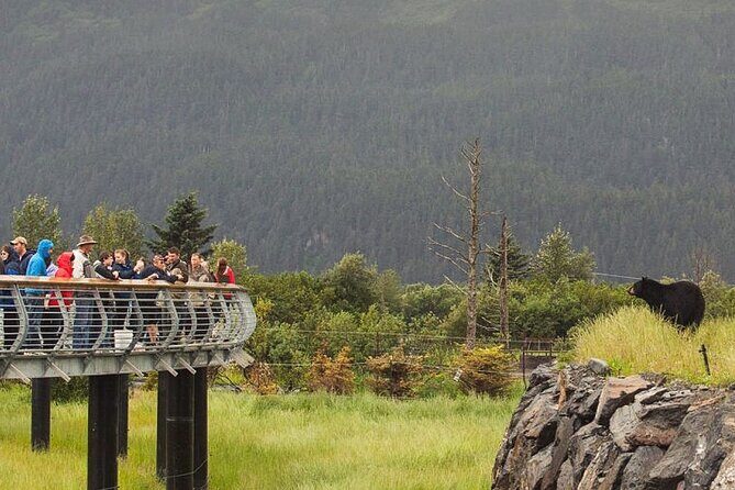 Private Scenic Turnagain Arm Glacier Tour from Anchorage - Who Should Consider This Tour?