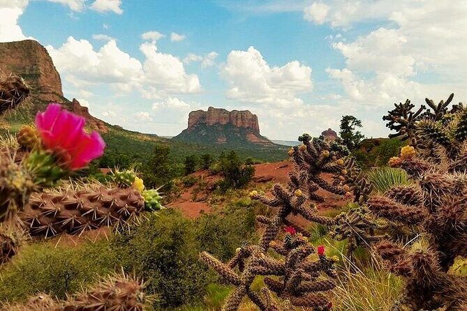 Private Sedona Day Trip from Phoenix: Red Rocks & Instagram Views - Transportation and Practical Details
