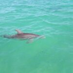 Private Sian Kaan Biosphere Tour - Pricing and Value