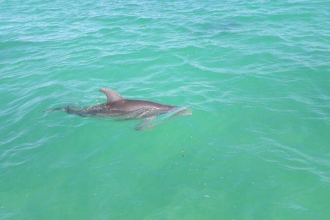 Private Sian Kaan Biosphere Tour - Pricing and Value