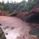 Private Sightseeing Tour In Saint John - Transportation and Group Size