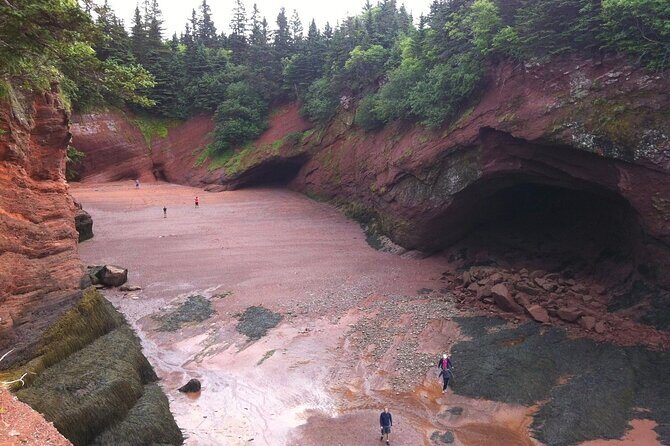 Private Sightseeing Tour In Saint John - Transportation and Group Size