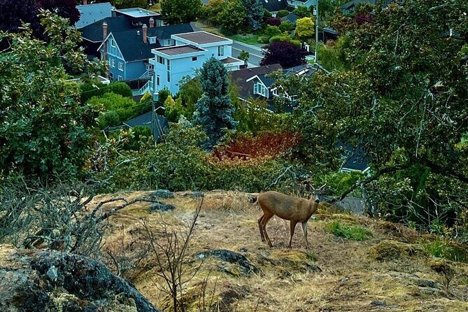 Private Sightseeing Tour in Victoria Canada - Starting Point: Mile Zero Monument and Beacon Hill Park