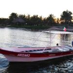 Private Snorkel Tour On The Reef Lagoon - What Makes This Tour Stand Out