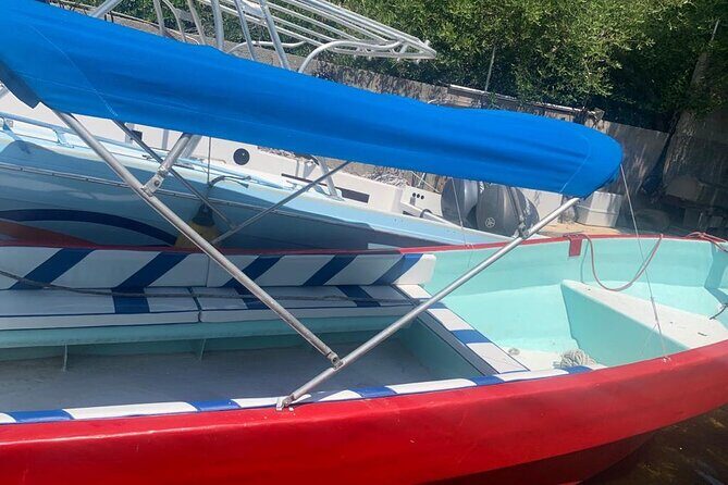 Private Snorkel with Turtle at Akumal - Who Should Consider This Tour?